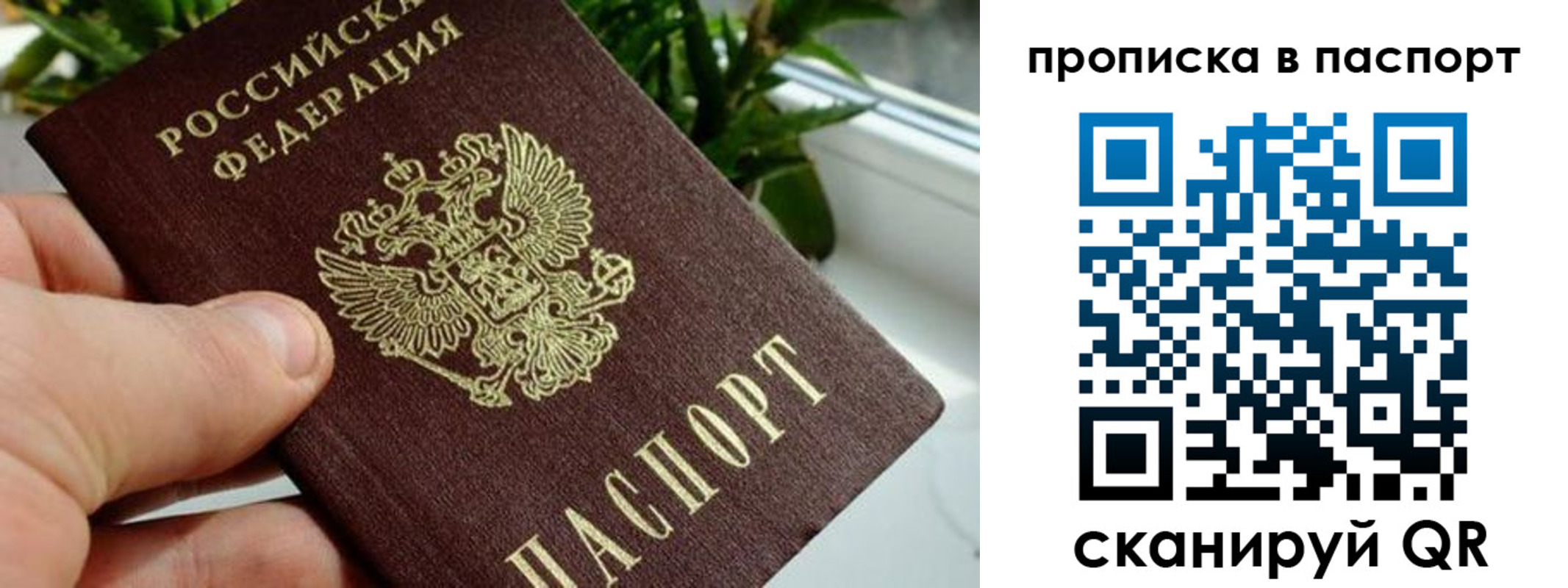 пропишу в квартире в Апрелевке